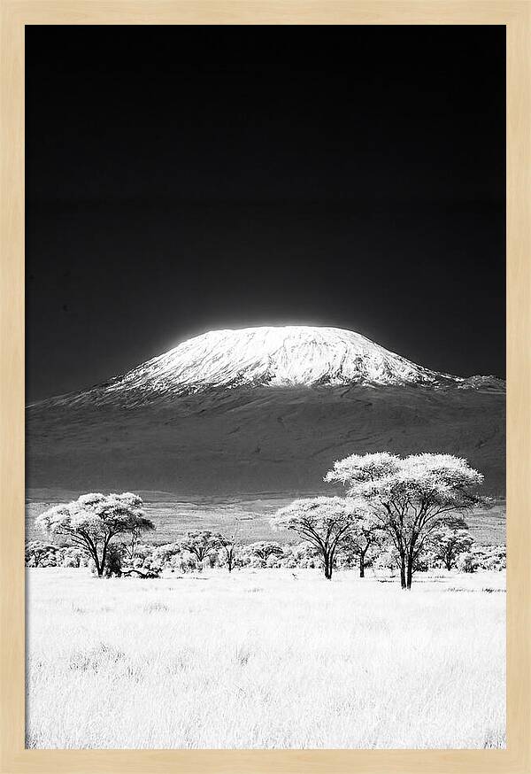 Majestic Kilimanjaro Over Amboseli