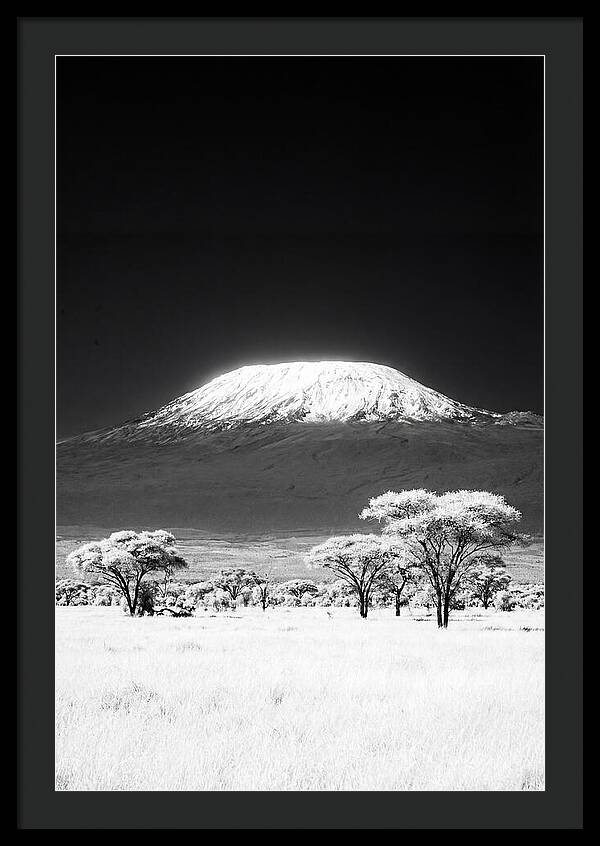Majestic Kilimanjaro Over Amboseli