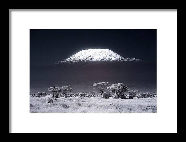 Majestic Kilimanjaro Over Savanna
