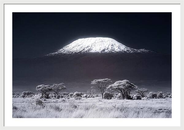 Majestic Kilimanjaro Over Savanna