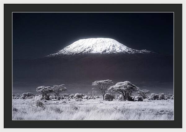 Majestic Kilimanjaro Over Savanna