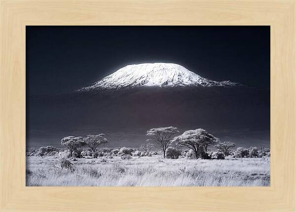 Majestic Kilimanjaro Over Savanna