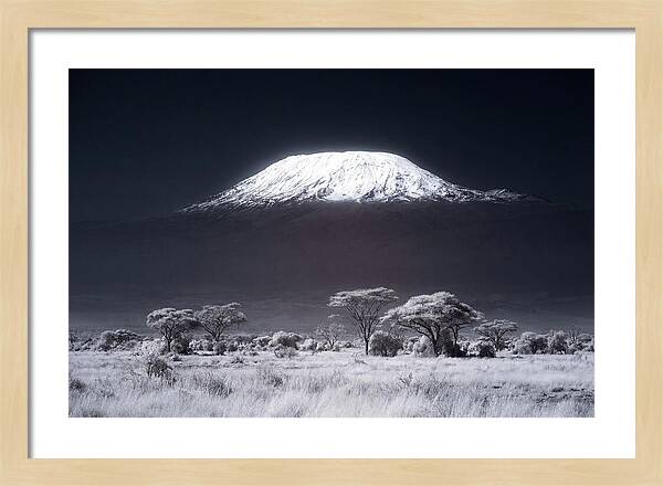 Majestic Kilimanjaro Over Savanna