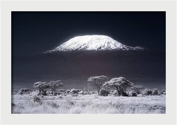 Majestic Kilimanjaro Over Savanna