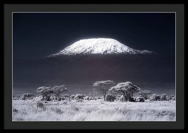Majestic Kilimanjaro Over Savanna