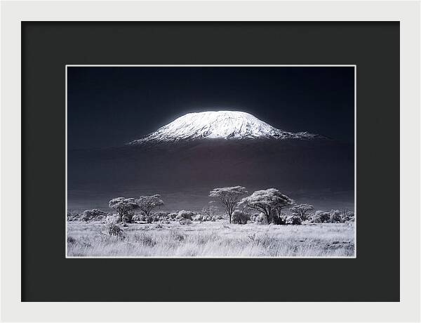 Majestic Kilimanjaro Over Savanna