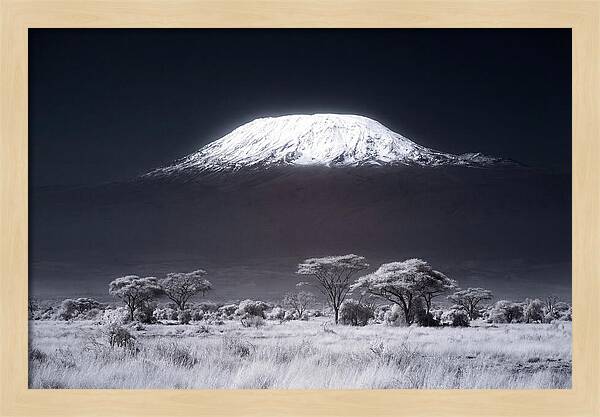 Majestic Kilimanjaro Over Savanna
