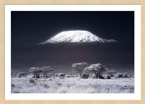 Majestic Kilimanjaro Over Savanna