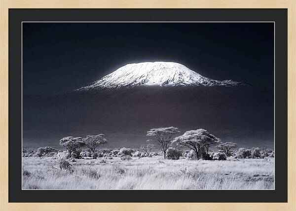 Majestic Kilimanjaro Over Savanna