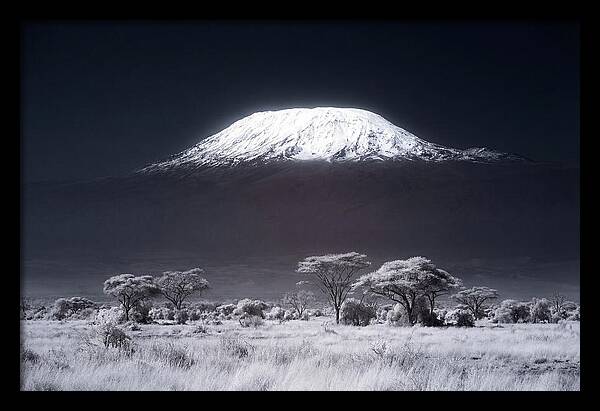 Majestic Kilimanjaro Over Savanna