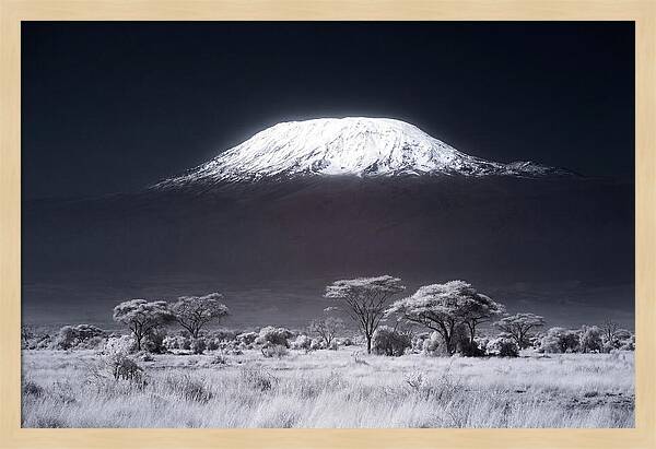 Majestic Kilimanjaro Over Savanna