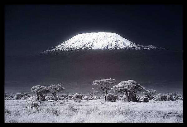 Majestic Kilimanjaro Over Savanna