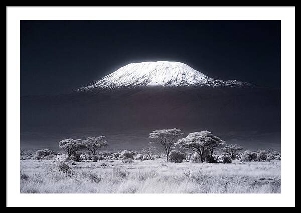 Majestic Kilimanjaro Over Savanna