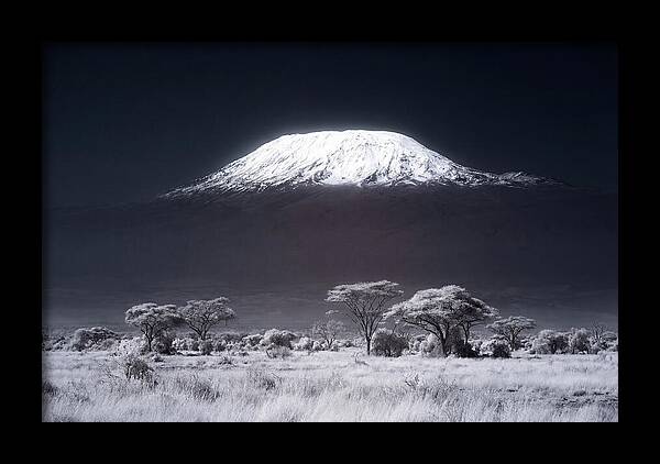 Majestic Kilimanjaro Over Savanna