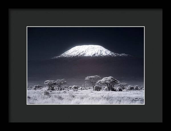 Majestic Kilimanjaro Over Savanna