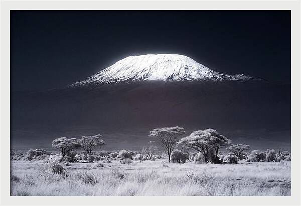 Majestic Kilimanjaro Over Savanna
