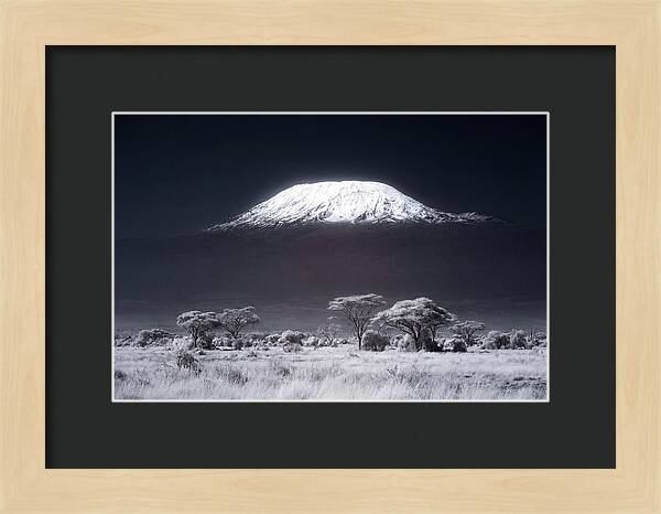 Majestic Kilimanjaro Over Savanna