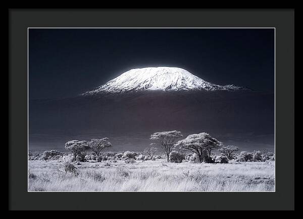 Majestic Kilimanjaro Over Savanna
