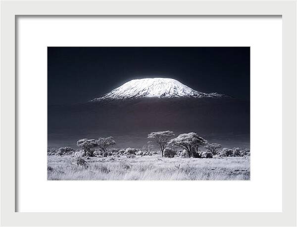 Majestic Kilimanjaro Over Savanna
