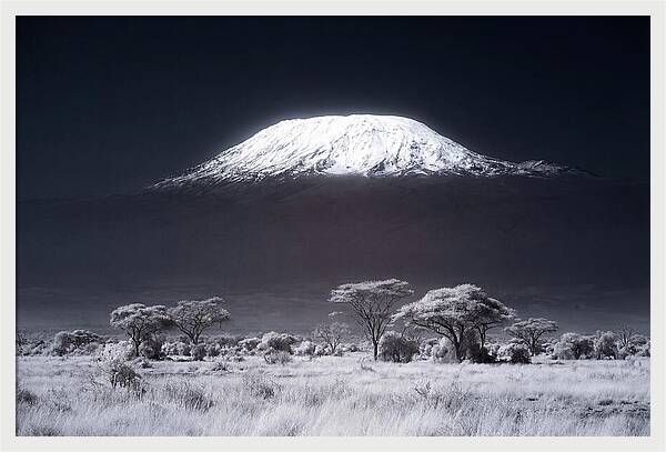 Majestic Kilimanjaro Over Savanna