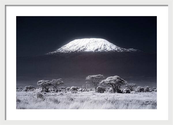Majestic Kilimanjaro Over Savanna