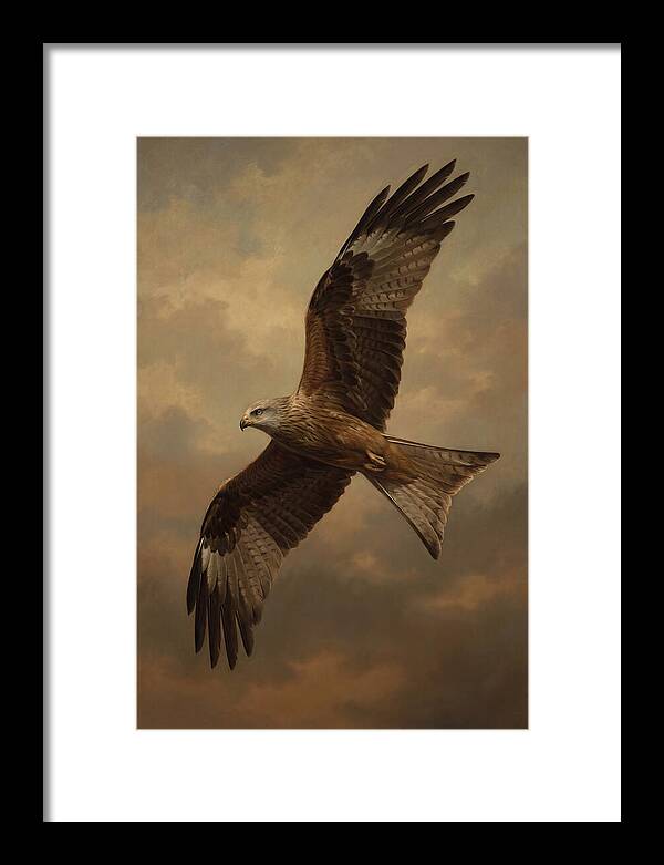 Majestic Kite In Flight