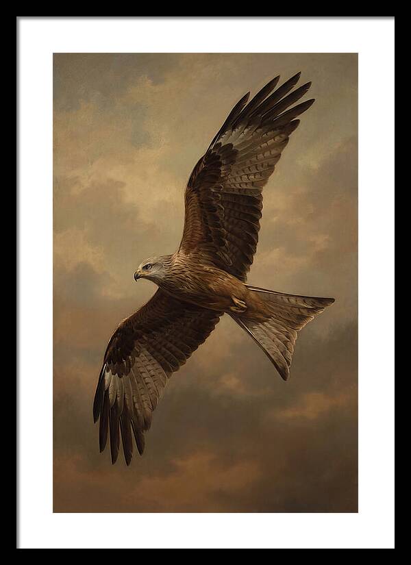 Majestic Kite In Flight