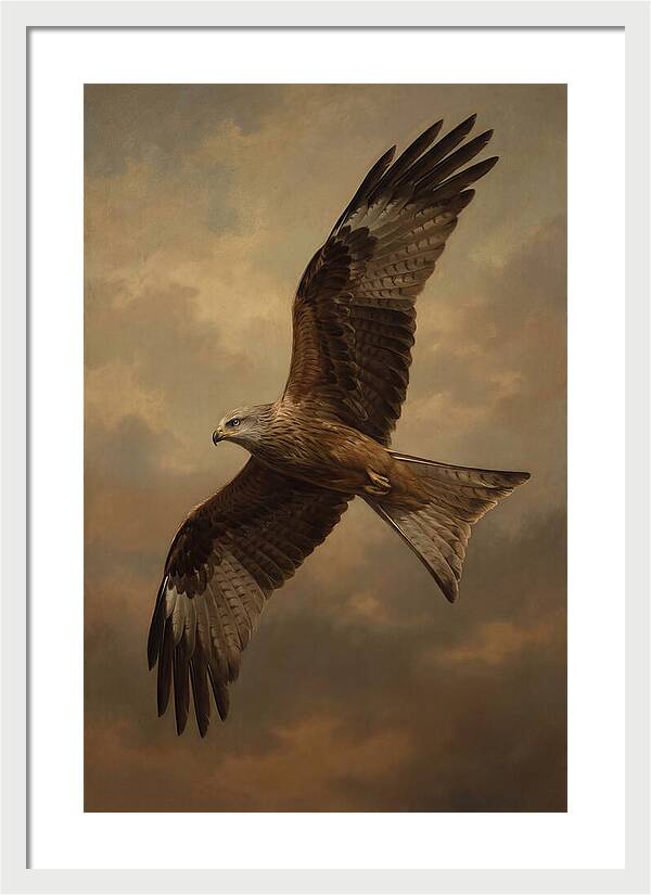 Majestic Kite In Flight