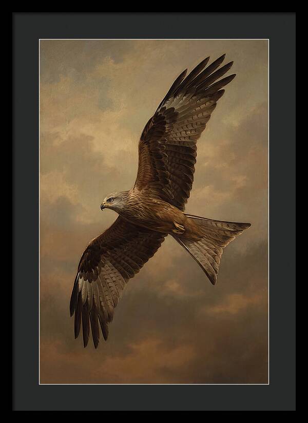 Majestic Kite In Flight