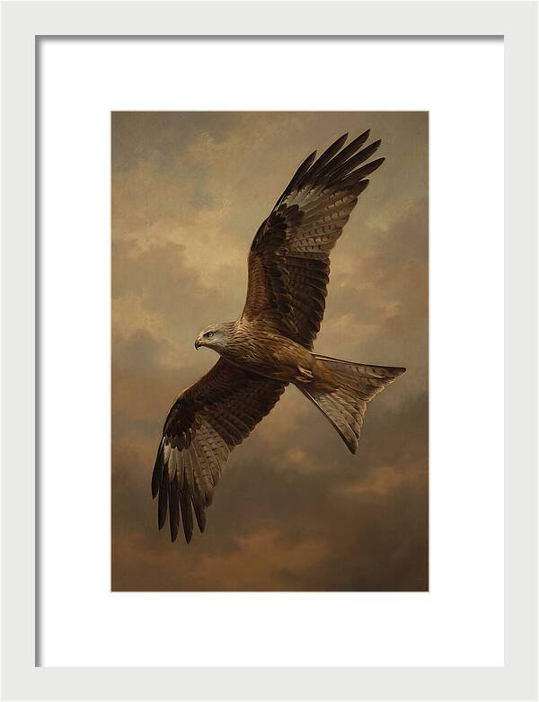 Majestic Kite In Flight