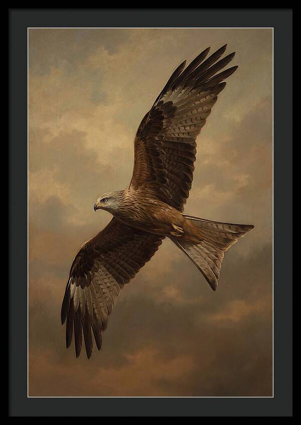 Majestic Kite In Flight