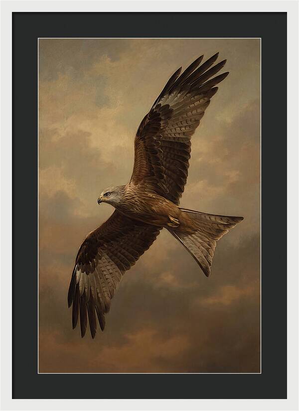 Majestic Kite In Flight