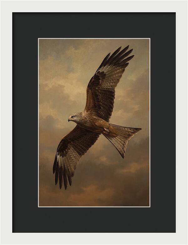 Majestic Kite In Flight