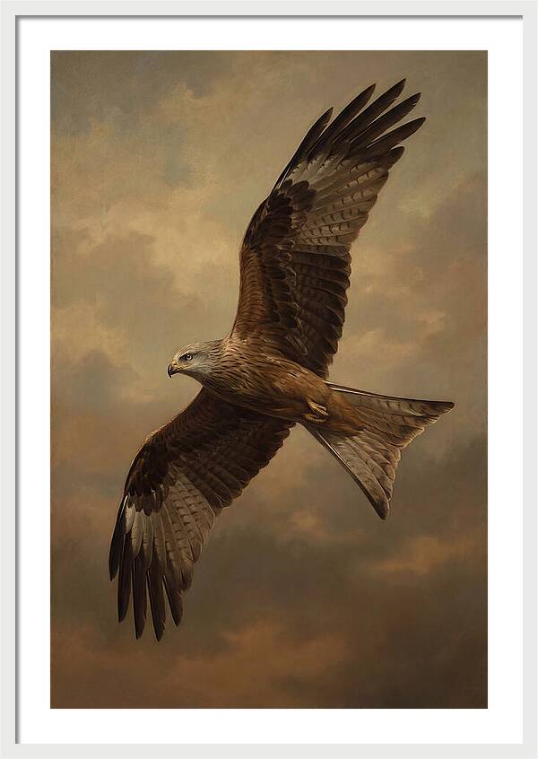 Majestic Kite In Flight