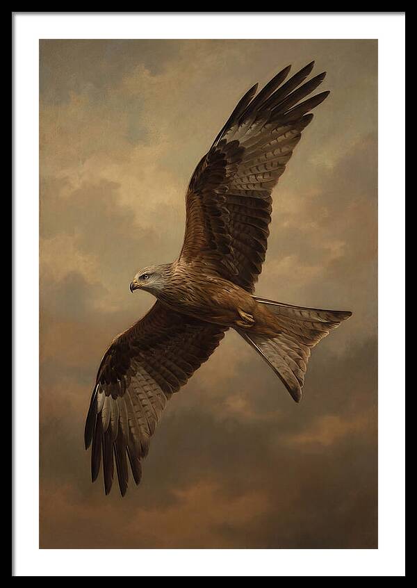 Majestic Kite In Flight