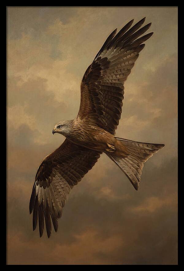 Majestic Kite In Flight