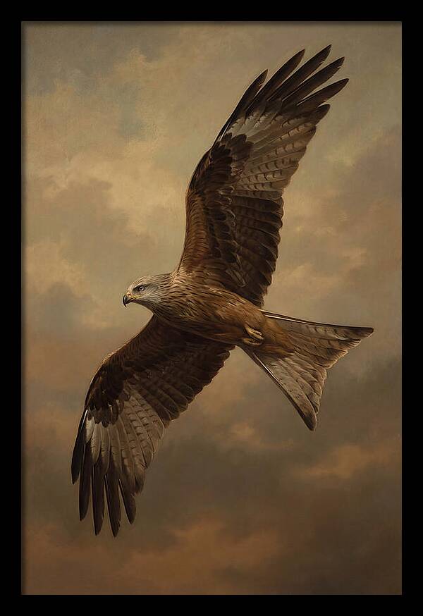 Majestic Kite In Flight