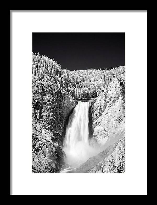 Majestic Lower Falls In Yellowstone