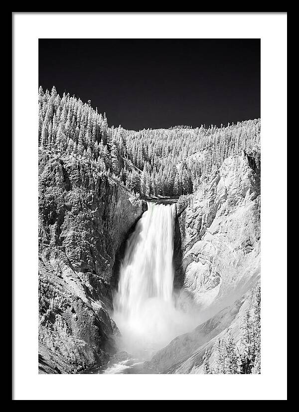 Majestic Lower Falls In Yellowstone