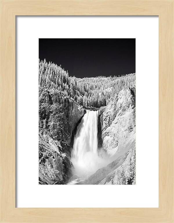 Majestic Lower Falls In Yellowstone