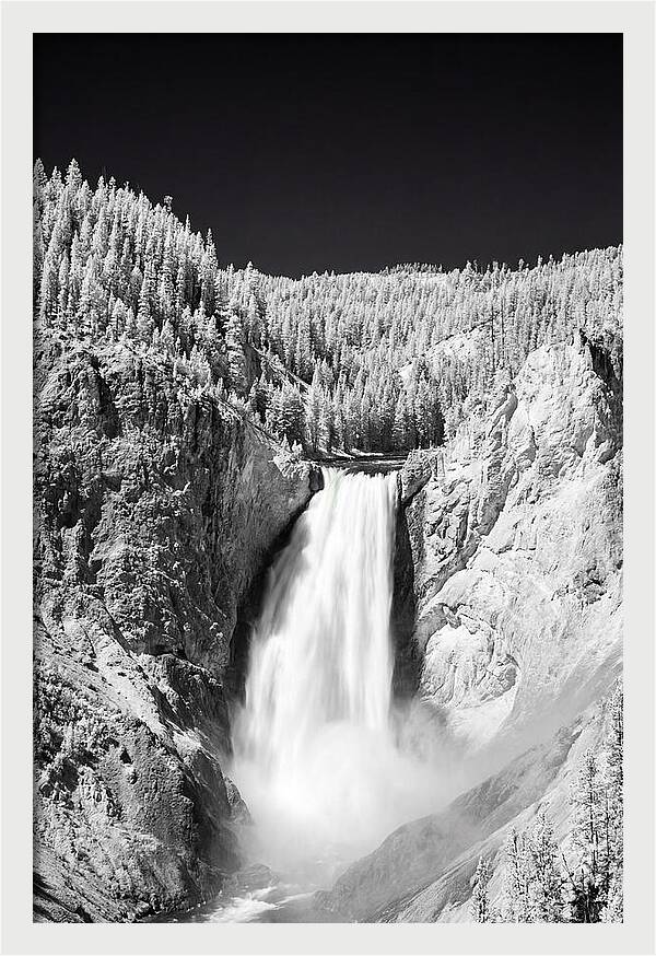Majestic Lower Falls In Yellowstone