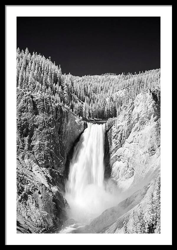 Majestic Lower Falls In Yellowstone