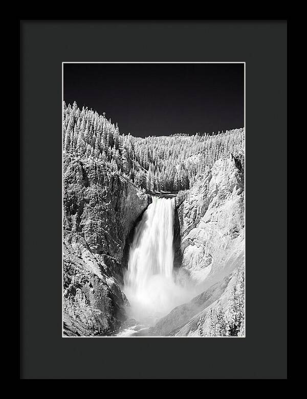 Majestic Lower Falls In Yellowstone