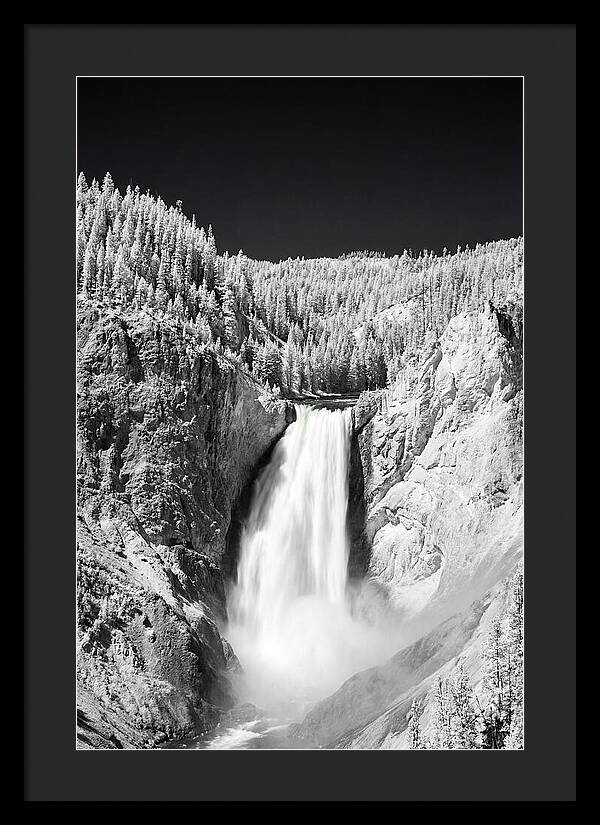Majestic Lower Falls In Yellowstone