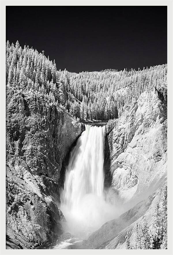 Majestic Lower Falls In Yellowstone