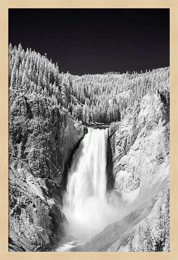 Majestic Lower Falls In Yellowstone