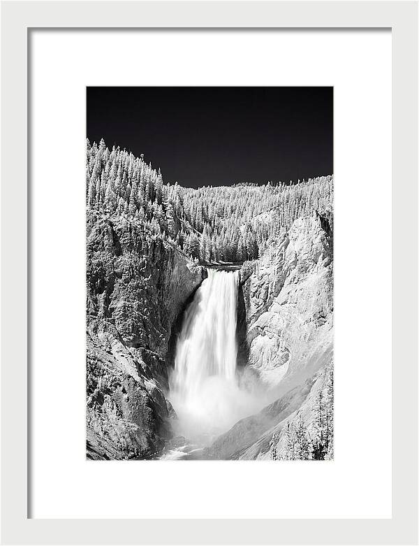 Majestic Lower Falls In Yellowstone