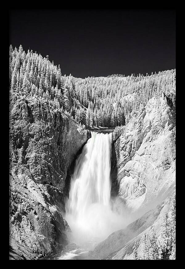 Majestic Lower Falls In Yellowstone