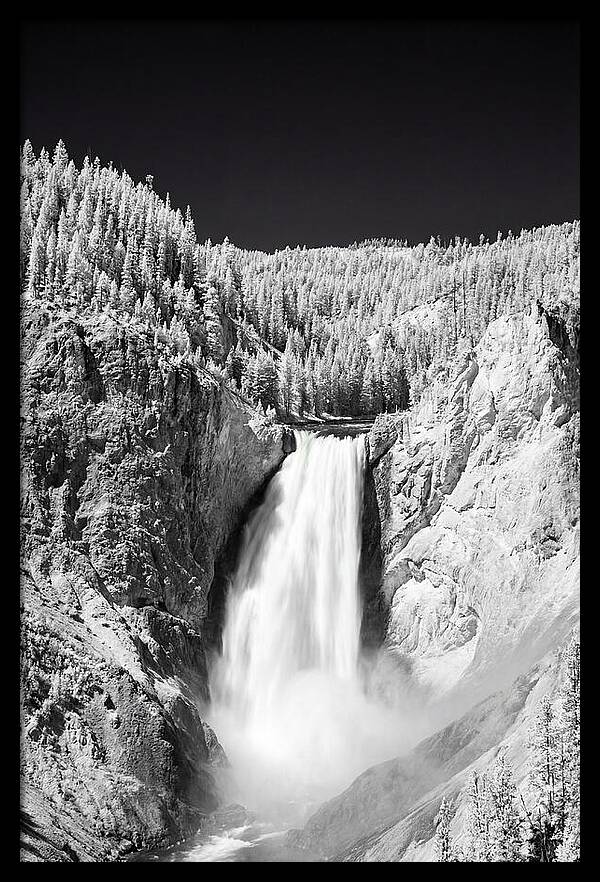 Majestic Lower Falls In Yellowstone