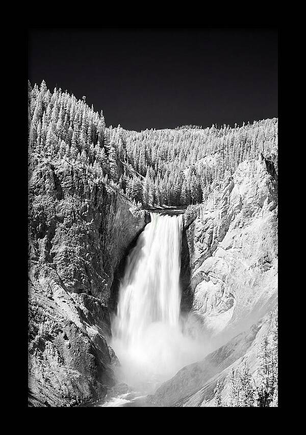 Majestic Lower Falls In Yellowstone